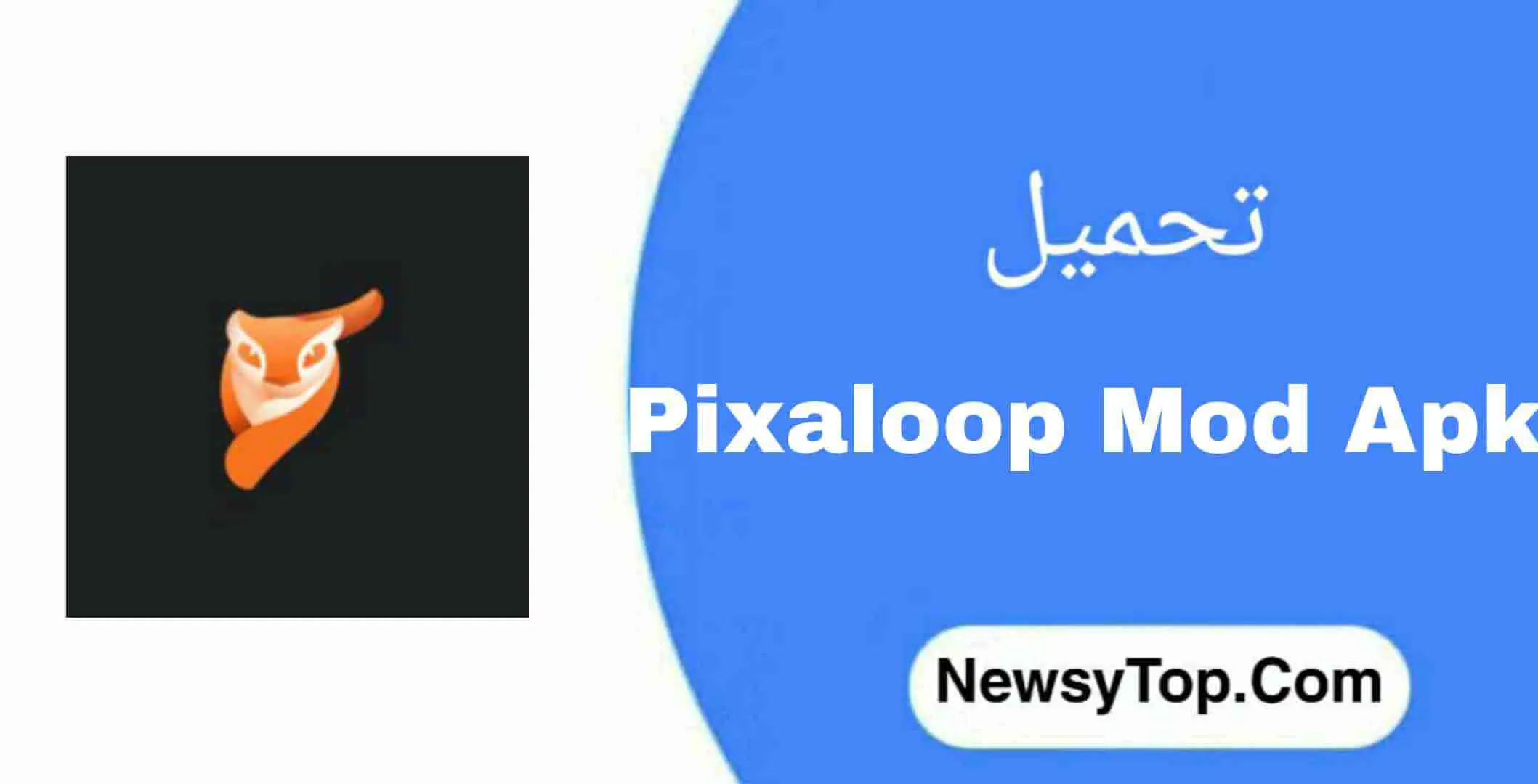 تحميل برنامج Pixaloop Pro مهكر 2022 اخر اصدار للاندرويد